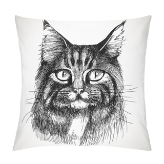 Personality  Maine Coon Cat Portrait. Pillow Covers