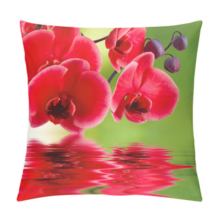 Personality  Background Of Flowers Pillow Covers