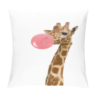 Personality  Giraffe In Zoo Isolated Chewing Pink Bubble Gum Pillow Covers