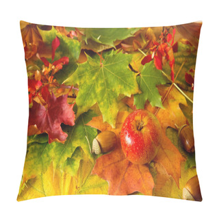 Personality  Colorful Autumn Leaves Background And Apple. Pillow Covers