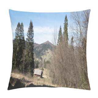 Personality  Majestic Carpathian Mountain Landscape, Showcasing Rugged Peaks And Lush Valleys Under A Clear Blue Sky Pillow Covers