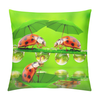 Personality  Little Ladybugs With Umbrella Over Pond Pillow Covers