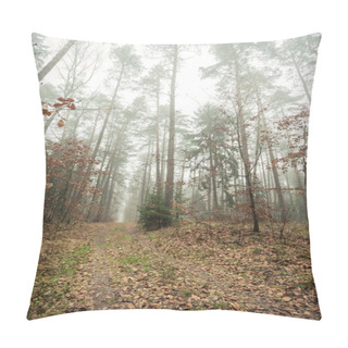 Personality  Pathway Through The Misty Autumn Forest Pillow Covers