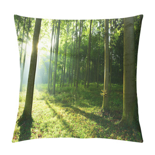 Personality  Sunny Morning In The Forest Pillow Covers