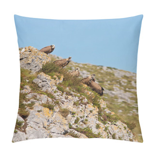 Personality  Vultures On The Rocks Pillow Covers