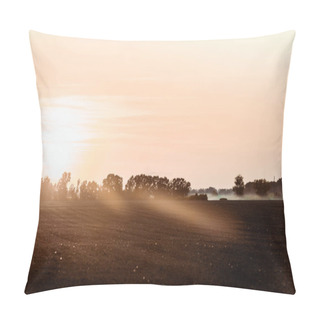Personality  Sunlight On Field Near Trees And Sky In Evening  Pillow Covers