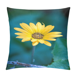 Personality  Closeup Of A Yellow Daisy Pillow Covers