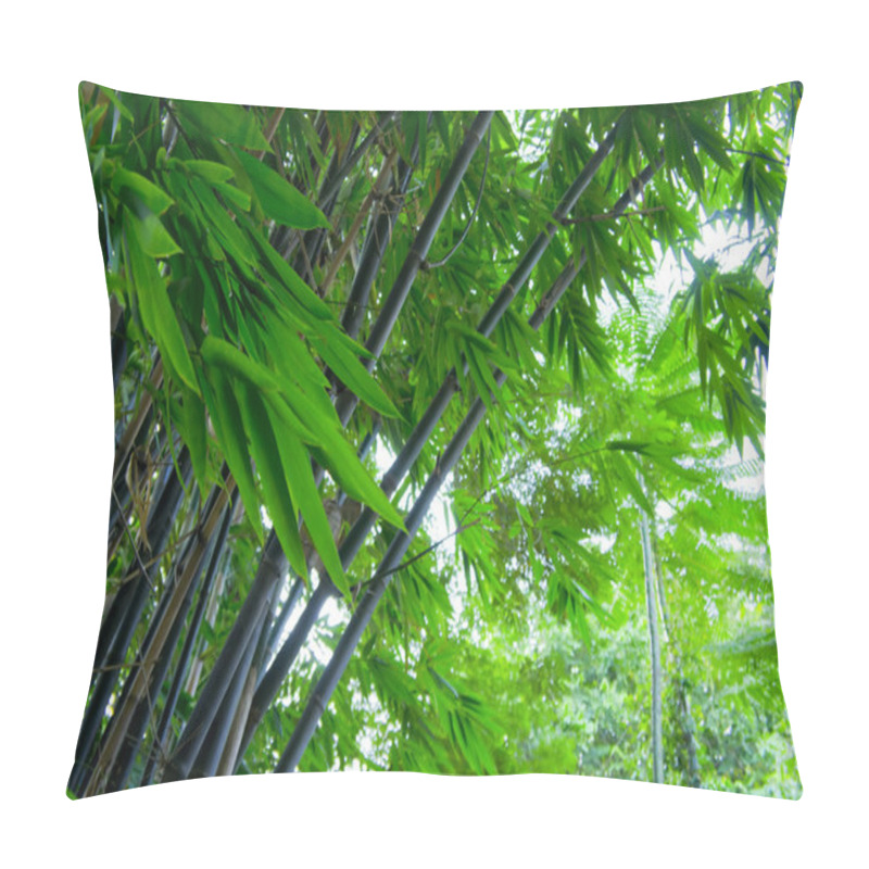 Personality  Bamboo Leaves Blown In The Forest Pillow Covers