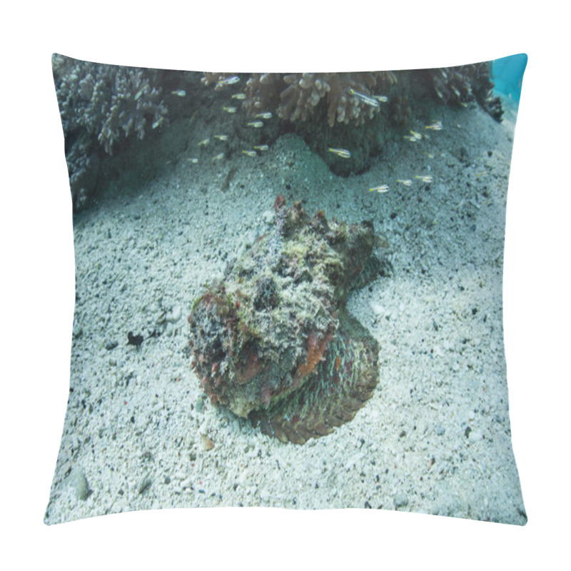 Personality  Well-camouflaged stonefish (Synanceia verrucosa) pillow covers