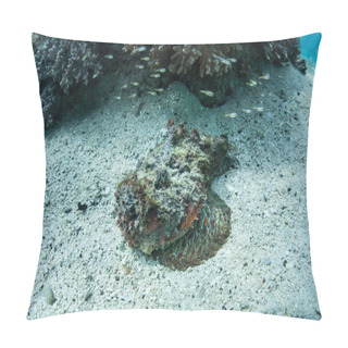 Personality  Well-camouflaged Stonefish (Synanceia Verrucosa) Pillow Covers
