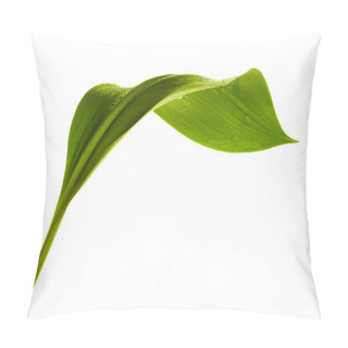 Personality  Leaf With Drops Of Water Pillow Covers