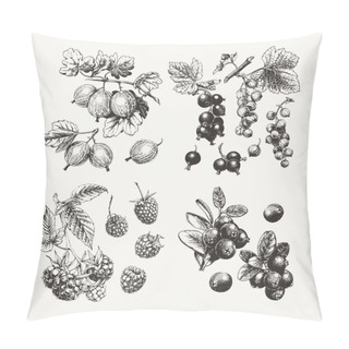 Personality   Ink Draw Berries Pillow Covers