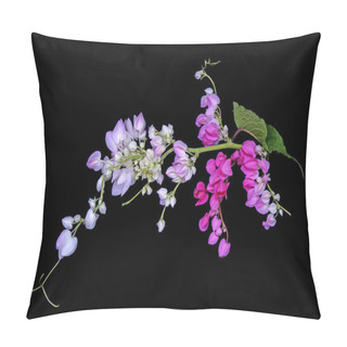 Personality  Flowers : Pink Mexican Creeper (Antigonon Leptopus) Isolated On Black Background Pillow Covers