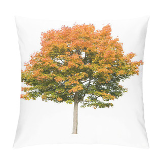 Personality  Nature Flora, Tree Foliage Pillow Covers