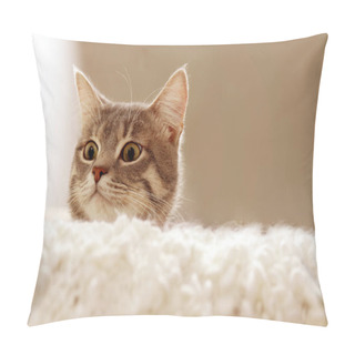 Personality  Cute Cat On Couch Pillow Covers