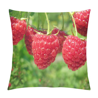 Personality  Ripe Raspberry Pillow Covers