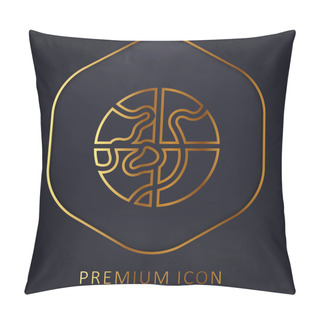 Personality  Arctic Golden Line Premium Logo Or Icon Pillow Covers