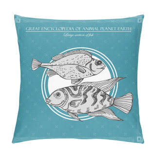 Personality  Great Encyclopedia Of Animal Planet Earth, Vintage Fishes Illustration Pillow Covers