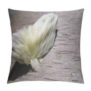 Personality  Megalopyge Opercularis (Donald Trump Caterpillar) Pillow Covers