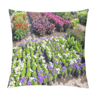 Personality  Sale Of Seedlings Of Different Decorative Flowers Pillow Covers