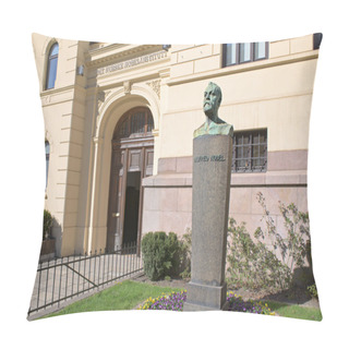 Personality  The Norwegian Nobel Institute In Oslo Pillow Covers