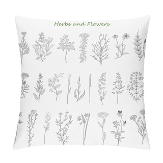 Personality  Herbs And Flowers Pillow Covers