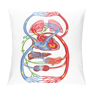 Personality  Human Bloodstream - Didactic Board Of Anatomy Of Blood System Of Human Circulation, Sanguine And Cardiovascular System Pillow Covers