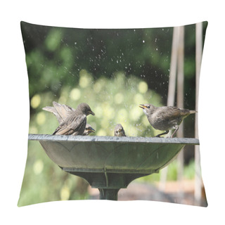Personality Young Starlings Pillow Covers