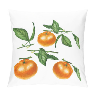 Personality  Botanical Watercolor Illustration Of Orange Tangerine Mandarine Isolated On White Background Pillow Covers