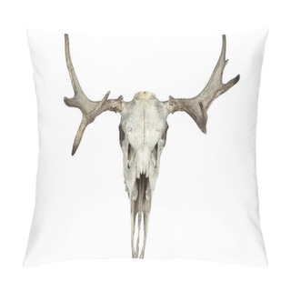 Personality  Animal Skull Pillow Covers