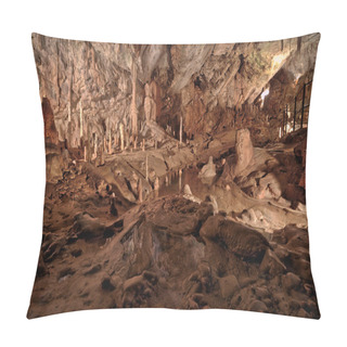 Personality  Postojna Grotte In Slovenia Pillow Covers
