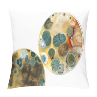 Personality  Petri Dish With Mold Pillow Covers