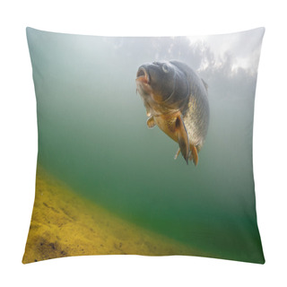 Personality  Carp Of The Family Of Cyprinidae Pillow Covers