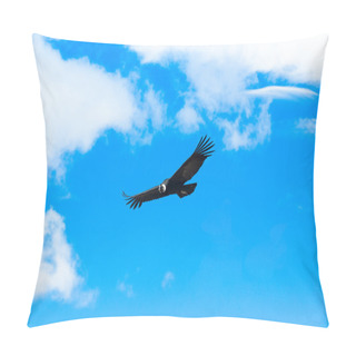 Personality  Beautiful Condor Flying Pillow Covers