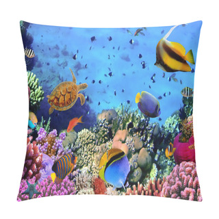 Personality Photo Of A Coral Colony On A Reef, Egypt Pillow Covers