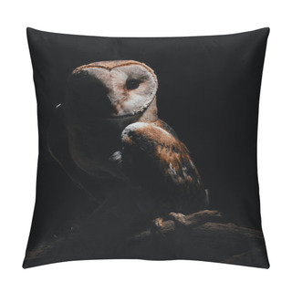 Personality  Cute Wild Barn Owl On Wooden Branch In Dark Isolated On Black Pillow Covers