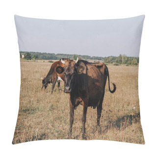 Personality  Rural Scene With Cows Grazing In Meadow  Pillow Covers