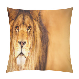 Personality  African Male Lion Headshot Looking Into Camera Pillow Covers