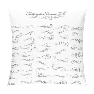 Personality  Calligraphic Floral Design Elements. Pillow Covers