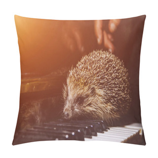 Personality  A Beautiful Little Gray Hedgehog Sits On The Piano Keys. Piano Playing. Music School, Education Concept, Beginning Of The Year, Creativity. Musical Instrument, Classical, Melody. Muzzle Close-up. Pillow Covers