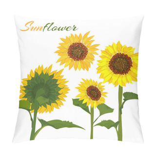 Personality  Beautiful Botanical Art Illustration With Set Sunflower Isolated On White Background For Print Decorative Design, Wedding Invitation Card. Colorful Summer Sketch, Watercolor Style. Vector Pillow Covers