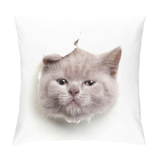 Personality  Cat Look Out Of The Hole In Paper Pillow Covers