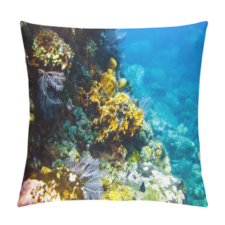 Personality  Colorful Corals And Fishes At Ocean Depth Pillow Covers