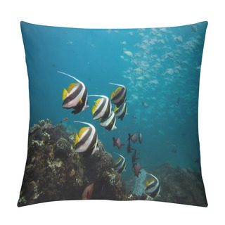 Personality  Coachman / Longfin Bannerfish Swimming Together Over The Reef  Pillow Covers