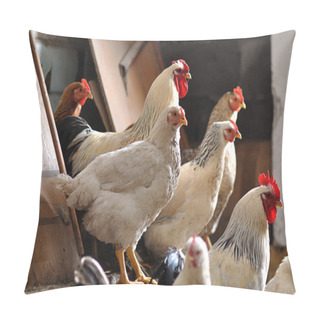 Personality  Chickens In The Coop Pillow Covers
