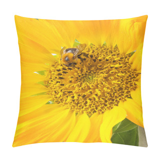 Personality  Sunflower With Bumblebee Pillow Covers
