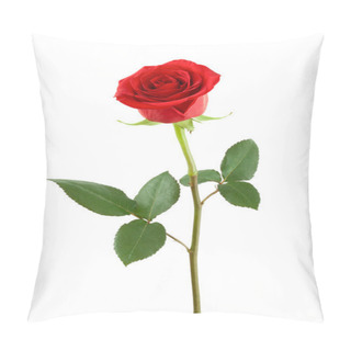 Personality  One Red Rose. Pillow Covers