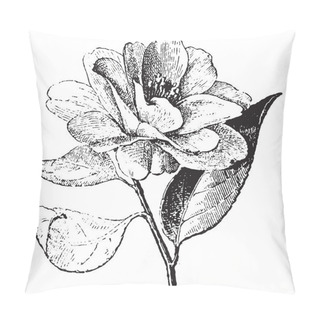 Personality  Camellia, Vintage Engraving. Pillow Covers