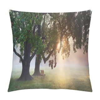 Personality  Old Oak Trees At Misty Autumn Pillow Covers