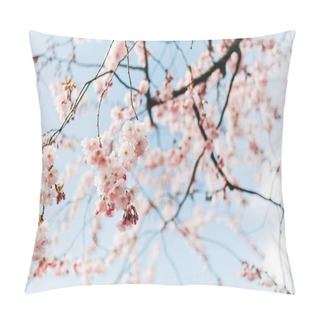 Personality  Selective Focus Of Beautiful Cherry Tree Blossom And Blue Sky Pillow Covers